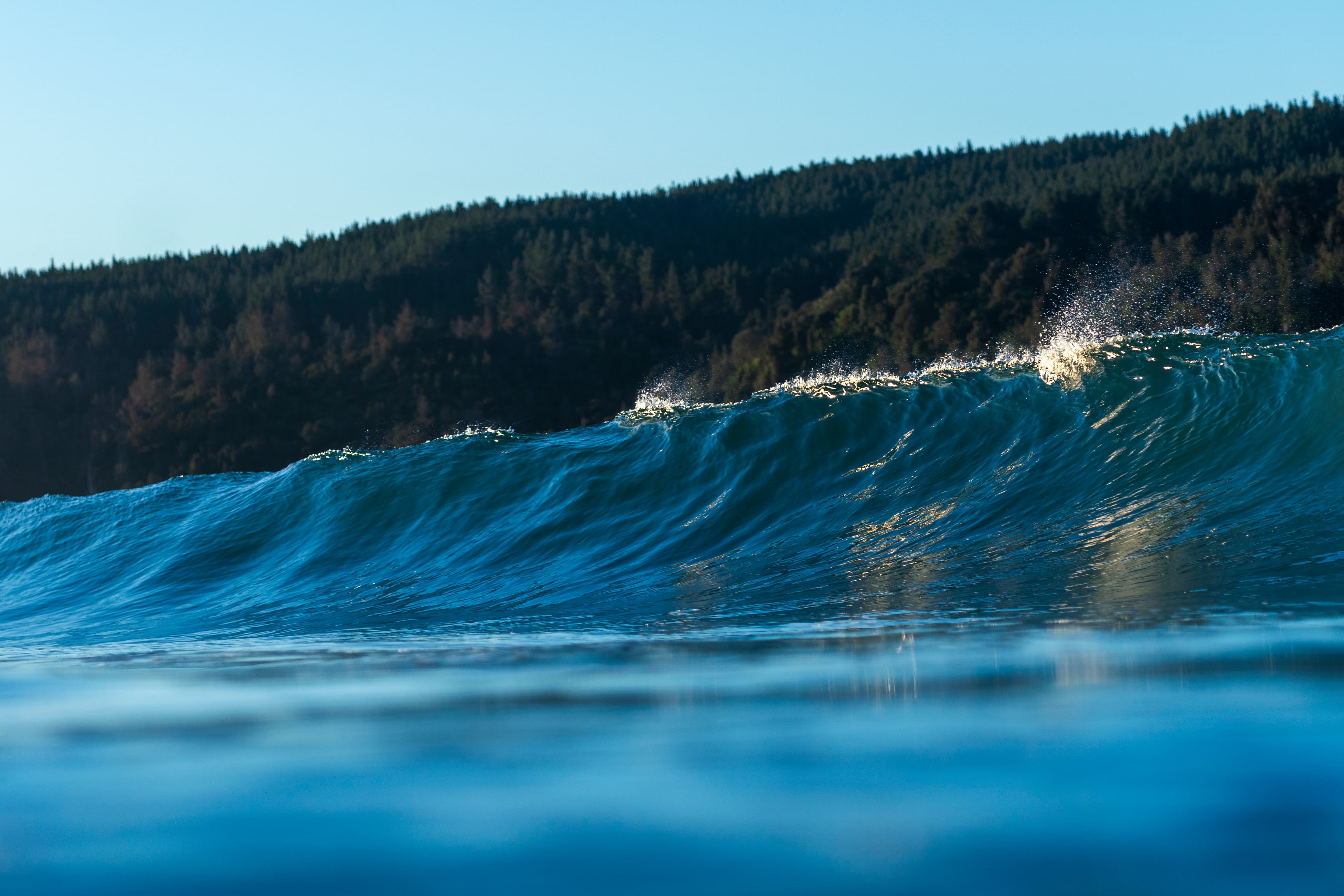 Breaking wave with a forested coastline behind it — fine art ocean photography print, Whangamata NZ.
